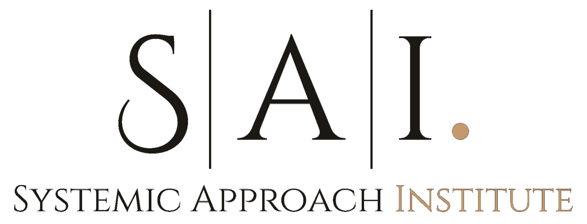 Systemic Approach Institute